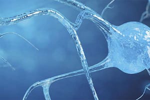 La scoperta dei neuroni specchio: atto motorio e gesto motorio